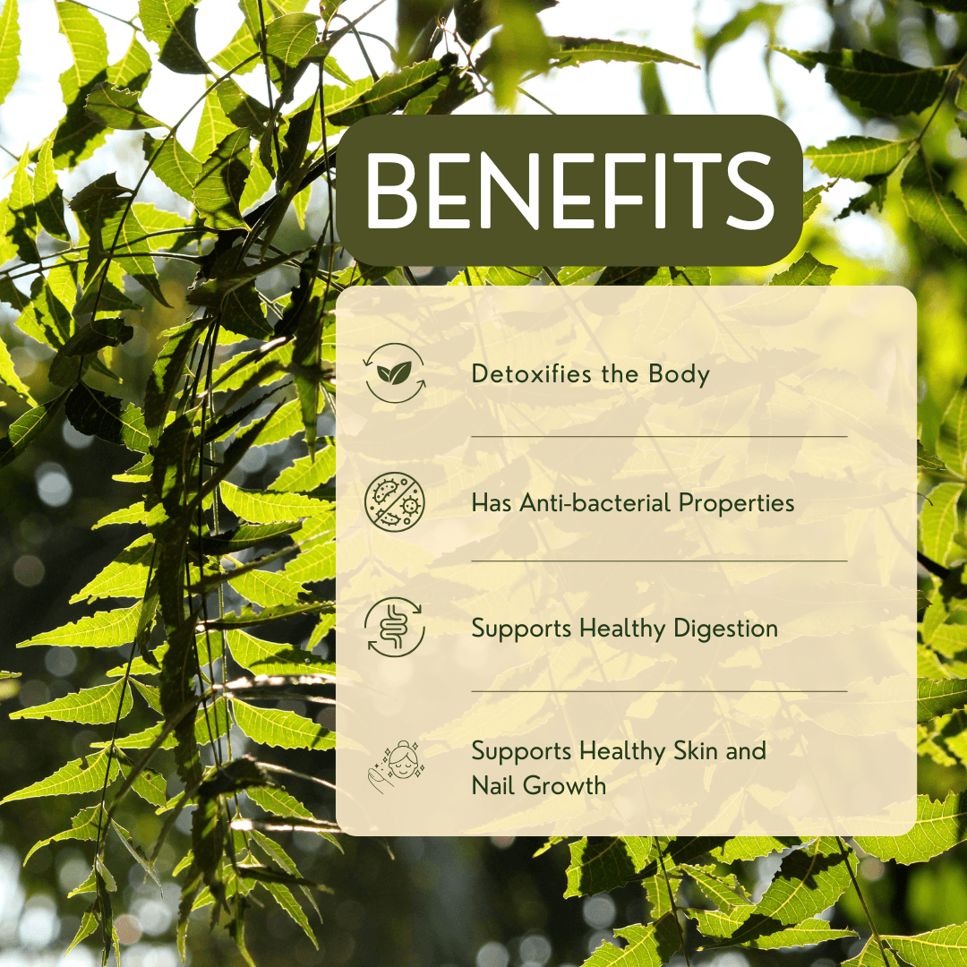 Neem - Garry N Sun Organics